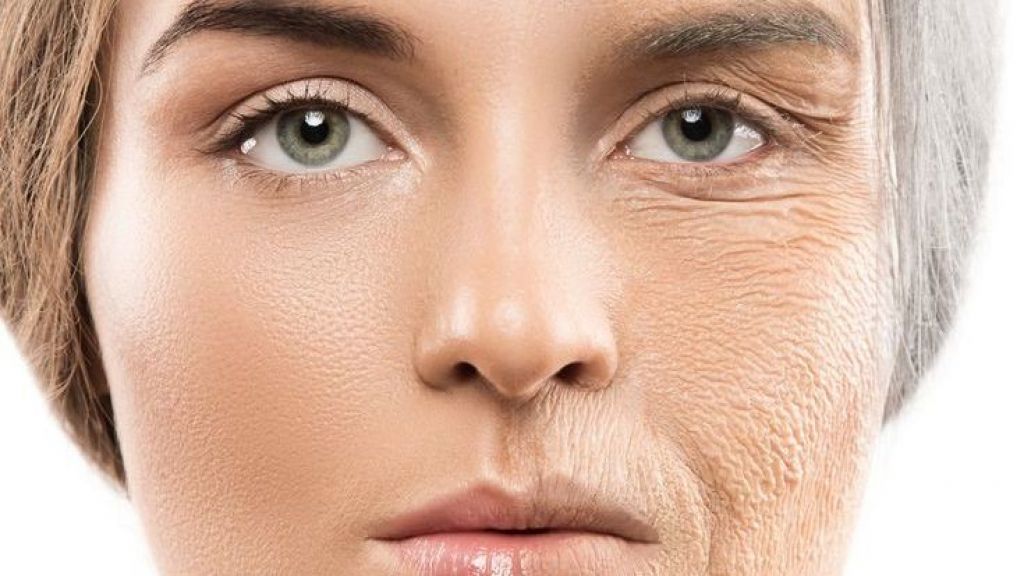 Anti Aging And How Should we Face It